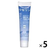 大洋製薬 ワセリンＨＧチューブ　６０ｇ　　　　 24-5549-00 1セット（5個）　マツヨシカタログ