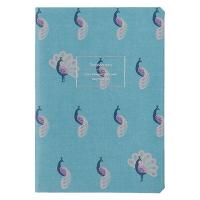 【アウトレット】【2024年版手帳】デルフォニックス A6マンスリーマニカ ターコイズ 240036344 1冊