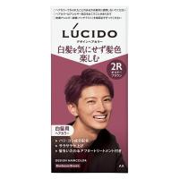 ルシード デザインヘアカラー ボルドーブラウン 2R メンズ用 白髪染め マンダム（医薬部外品）