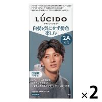 ルシード デザインヘアカラー クールアッシュ 2A メンズ用 白髪染め マンダム（医薬部外品）2個