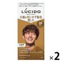 ルシード デザインヘアカラー モダンブラウン 2B メンズ用 白髪染め マンダム（医薬部外品）2個 単品送料無料