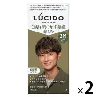 ルシード デザインヘアカラー マットアッシュ 2M メンズ用 白髪染め マンダム（医薬部外品）2個