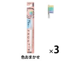 プログリップハブラシ typeIII 歯の美白に やわらかめ 1セット（3本）エビス 歯ブラシ