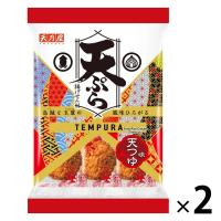 天ぷら揚げせん天つゆ味 2袋 天乃屋 お煎餅 せんべい