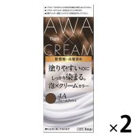 ビゲン 泡クリームカラー 4A ヴェールアッシュ 2個 ホーユー