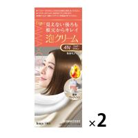 ビゲン 泡クリームカラー 4N フォギーブラウン 2個 ホーユー 単品送料無料