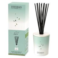エステバン ピュアリネン デコラティブラタンブーケ 芳香剤 本体 100ml 1個 日本香堂
