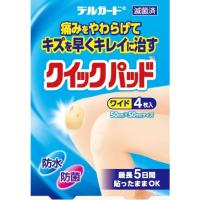阿蘇製薬株式会社 デルガードクイックパッド ワイド4枚 P9001664 3箱