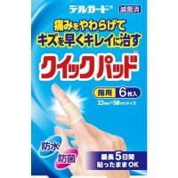 阿蘇製薬株式会社 デルガードクイックパッド 指用6枚 P9001661 5箱