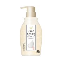 日本の名湯 まるでSPA帰り ボディソープ 吸い込みたくなる新鮮な大気の香り ポンプ 本体 450ml ボディーソープ アース製薬 【液体タイプ】