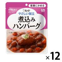 介護食 容易にかめる やさしい献立 Y1-8 煮込みハンバーグドミグラスソース仕立て 100g 1セット（12袋入） キユーピー