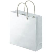 アスクル 樹脂カバー付き 手提げ紙袋 ホワイト S 1袋（10枚入）  オリジナル