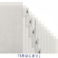 マルマン インデックス A4 ラミネートタブ 2穴 文字入り「4月〜3月」 10組入 LT4212NA  オリジナル