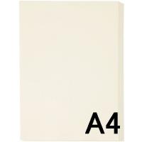 アスクル　カラーペーパー　A4　アイボリー　1箱（500枚×10冊入）  オリジナル