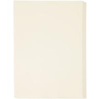 アスクル カラーペーパー厚口アイボリー B4 1冊（250枚入）  オリジナル