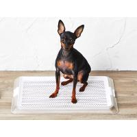 ペットトレー 犬用 クリアメッシュＳ レギュラーサイズシーツ対応 ボンビアルコン