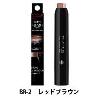 【アウトレット】KATE（ケイト） トリプルグラデエキスパート BR-2 レッドブラウン