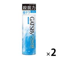 GATSBY（ギャツビー）制汗剤 ボディ用 パウダー デオドラントスプレー クールシトラス 130g 2個 マンダム