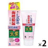歯磨き粉 生葉（しょうよう） 知覚過敏症状予防タイプ 歯槽膿漏を防ぐ 薬用ハミガキ ハーブミント味 100g 1セット（2本）小林製薬