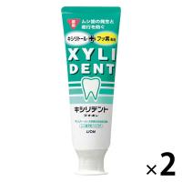 キシリデント ミント 120g 2本　ライオン 歯磨き粉