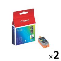 キヤノン（Canon） 純正インクタンク BCI-19CLR 4色一体型 標準 2個