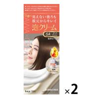 ビゲン 泡クリームカラー 5A ダークアッシュ 1セット（1箱×2） hoyu（ホーユー）