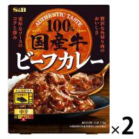 エスビー食品 国産牛100％ビーフカレー 中辛 170g 1セット（1個×2）レトルト レンジ対応