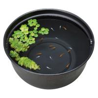 メダカ元気 メダカのための飼育鉢 黒 420 1個 ジェックス 新入荷