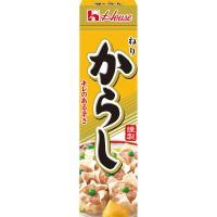 ハウス食品 ねりからし 43g 　1本