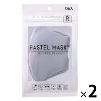 PASTELMASK（パステルマスク） グレー Ｒ 1セット（2袋） クロスプラス 繰り返し使える 洗える カラーマスク