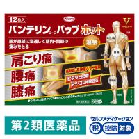 バンテリンコーワパップホット 12枚 興和 ★控除★ 温感タイプ 肩こり痛 腰痛 膝痛 高伸縮 高粘着【第2類医薬品】