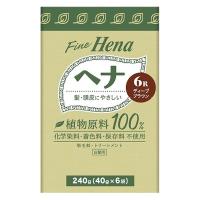 【アウトレット】テンスター　ファインヘナ　6R　ディープブラウン　240g（40g×6個パック）