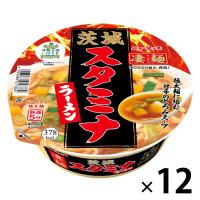 凄麺 茨城スタミナラーメン 115g 1セット（1食×12） ヤマダイ