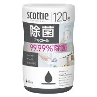 ウェットティッシュ 除菌シート 日本製紙クレシア スコッティ ウェットティシュー 除菌 アルコール 120枚×1個