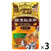 エバラ 横濱舶来亭トロピカルカレーフレーク 180g 1セット（3袋）