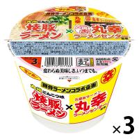 カップ麺 サンポー 焼豚ラーメン＜九州とんこつ味＞×久留米ラーメン丸幸ラーメンセンター監修 1セット（3個） サンポー食品