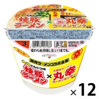 カップ麺 サンポー 焼豚ラーメン＜九州とんこつ味＞×久留米ラーメン丸幸ラーメンセンター監修 1セット（12個） サンポー食品