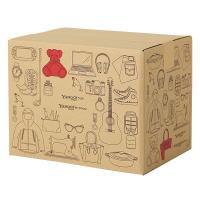 RGコンテナー ヤフオク!80サイズ段ボール箱 YD―80 1袋(3枚入)