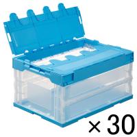 三甲 サンクレットオリコンL41B TM 553530 1セット(1個×30) オリジナル