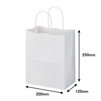 アスクル 丸紐手提袋白(マチ広S) PB 0250009000 1袋(50枚入) オリジナル