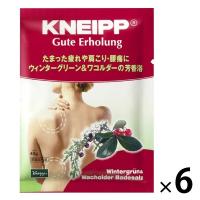 入浴剤 クナイプ バスソルト グーテエアホールング ウィンターグリーン＆ワコルダーの香り 分包 40g 1セット（6包）クナイプジャパン