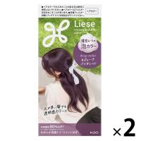 liese（リーゼ） 泡カラー ディープバイオレット 1セット（2個） 花王