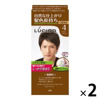 LUCIDO（ルシード） ワンプッシュケアカラー ４ ライトブラウン メンズ用 無香料 白髪染め 2個 マンダム（医薬部外品）