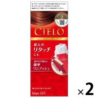 CIELO（シエロ） ヘアカラーEX　クリーム　2　より明るいライトブラウン　1セット（2個） hoyu（ホーユー）