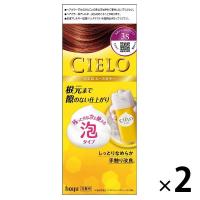CIELO（シエロ） ムースカラー　3S　スタイリッシュブラウン　1セット（2個） hoyu（ホーユー）