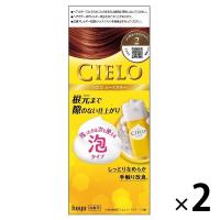CIELO（シエロ） ムースカラー 2 より明るいライトブラウン　1セット（2個） hoyu（ホーユー）