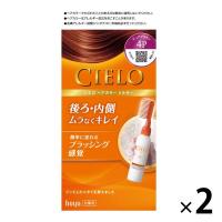 CIELO（シエロ） ヘアカラーEXミルキー 4P ピュアブラウン　1セット（2個） hoyu（ホーユー）