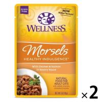 ウェルネス 猫用 ヘルシーインダルジェンス 香るとろみスープ仕立て チキン＆サーモン 85g 2袋 キャットフード ウェット パウチ