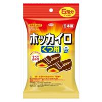 興和 ホッカイロ くつ用5足分 4987067827701 1個