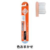 歯ブラシ ピュオーラ PureOra36500 歯ブラシ 極小＆密着ヘッド 歯周のキワまで1本1本磨き ふつう 1本